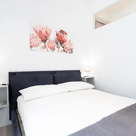 Appia Purple Terrace In Daire